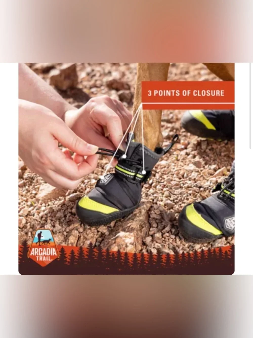 Arcadia Trail™ Year-Round All-Terrain Dog Booties